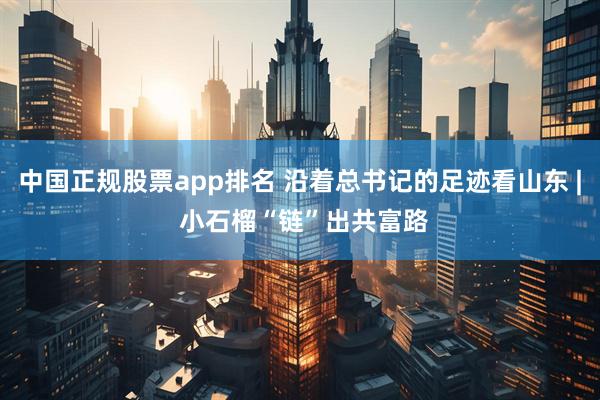 中国正规股票app排名 沿着总书记的足迹看山东 | 小石榴“链”出共富路