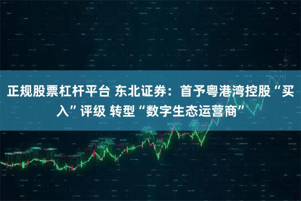 正规股票杠杆平台 东北证券：首予粤港湾控股“买入”评级 转型“数字生态运营商”