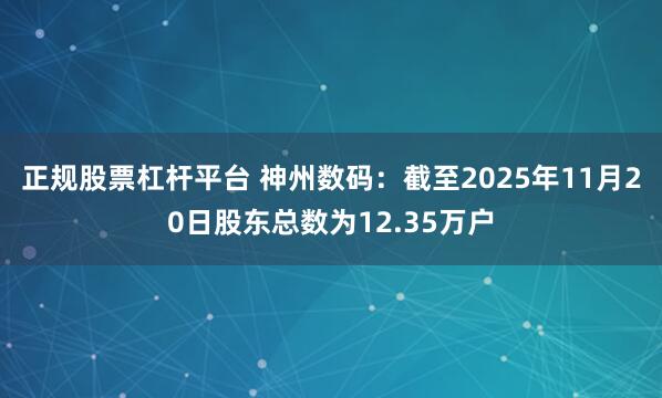 正规股票杠杆平台 神州数码：截至2025年11月20日股东总数为12.35万户